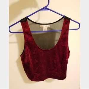 Red Velvet & Mesh Back Crop Top